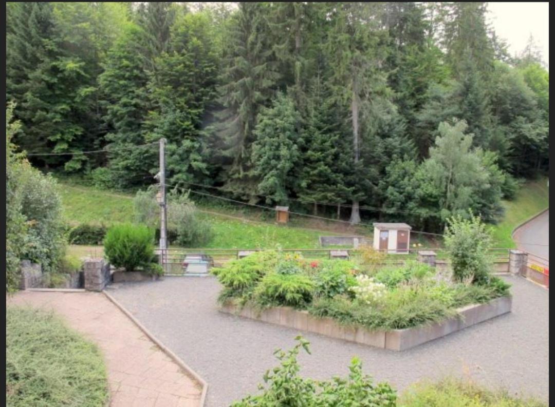 Studio Le Manet Apartamento Le Hohwald Exterior foto